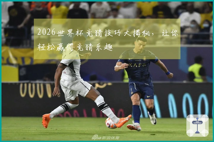 2026世界杯竞猜技巧大揭秘，让你轻松赢得竞猜乐趣
