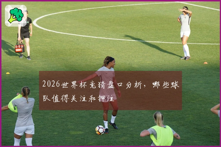 2026世界杯竞猜盘口分析，哪些球队值得关注和押注