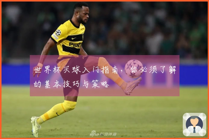 世界杯买球入门指南，你必须了解的基本技巧与策略