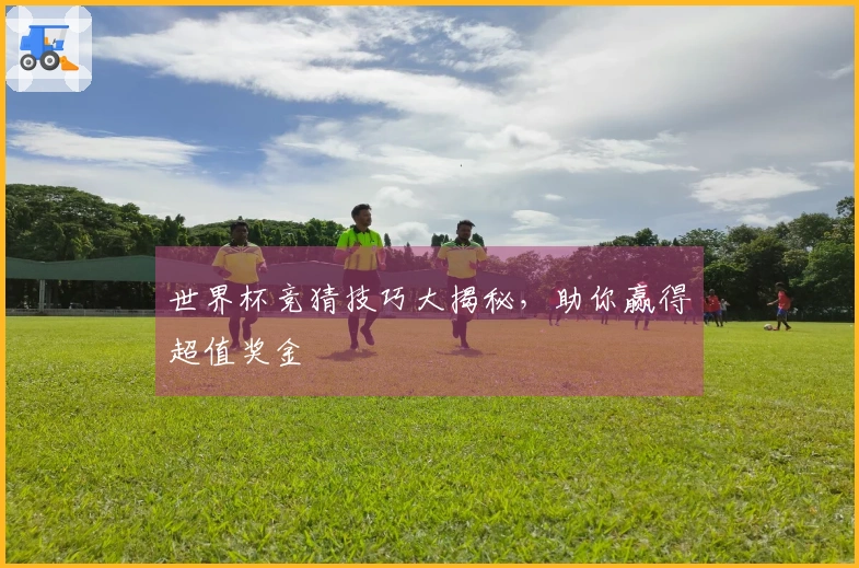 世界杯竞猜技巧大揭秘，助你赢得超值奖金