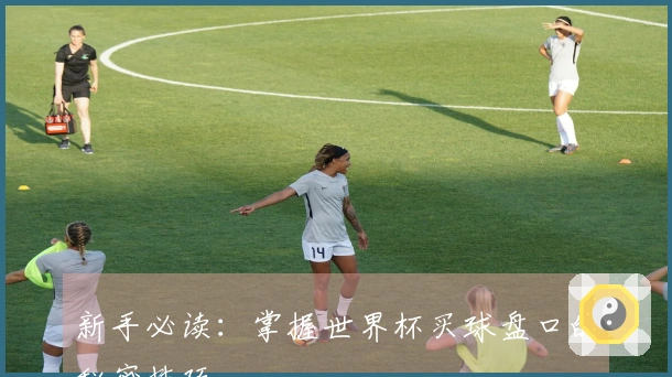 新手必读：掌握世界杯买球盘口的秘密技巧