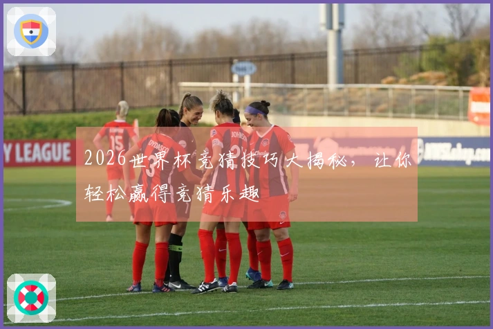 2026世界杯竞猜技巧大揭秘，让你轻松赢得竞猜乐趣