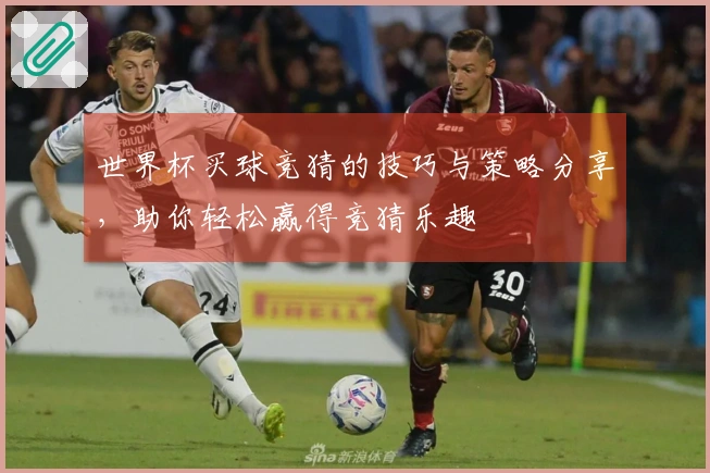 世界杯买球竞猜的技巧与策略分享，助你轻松赢得竞猜乐趣