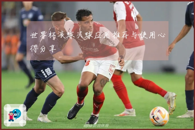 世界杯滚球买球应用推荐与使用心得分享