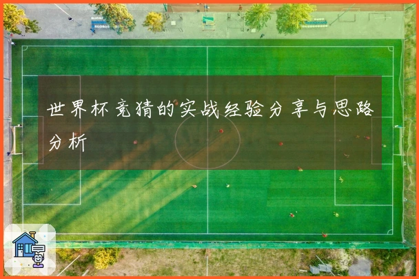 世界杯竞猜的实战经验分享与思路分析