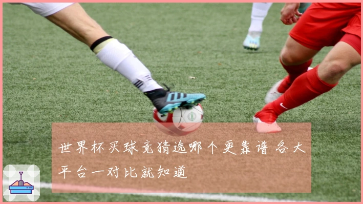 世界杯买球竞猜选哪个更靠谱 各大平台一对比就知道