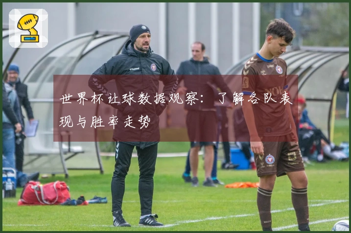 世界杯让球数据观察：了解各队表现与胜率走势