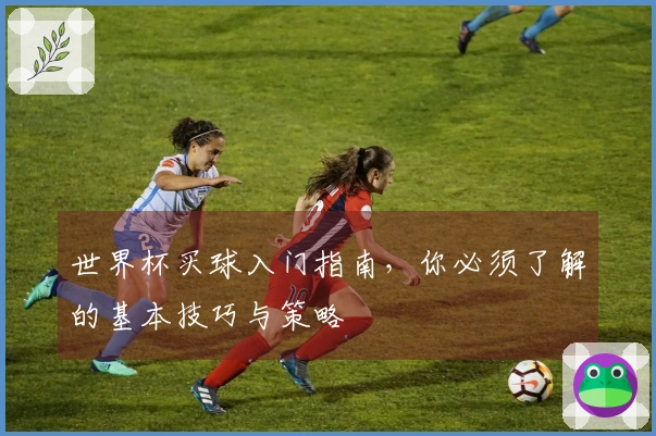 世界杯买球入门指南，你必须了解的基本技巧与策略