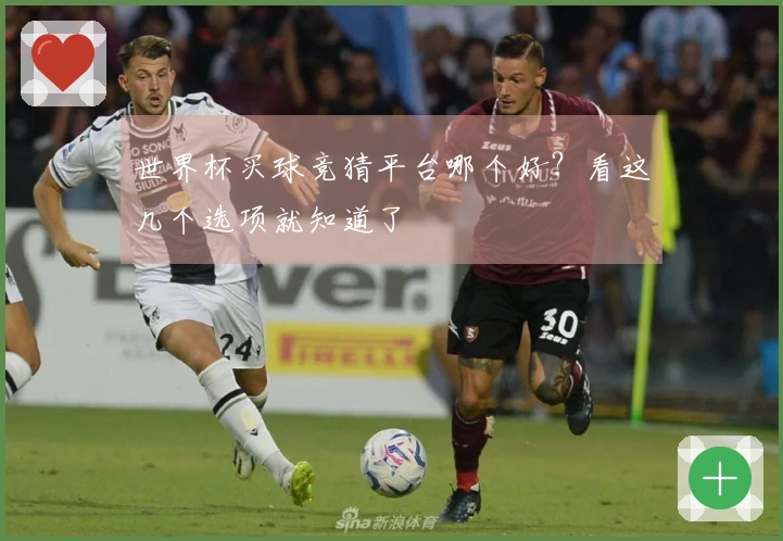 世界杯买球竞猜平台哪个好？看这几个选项就知道了
