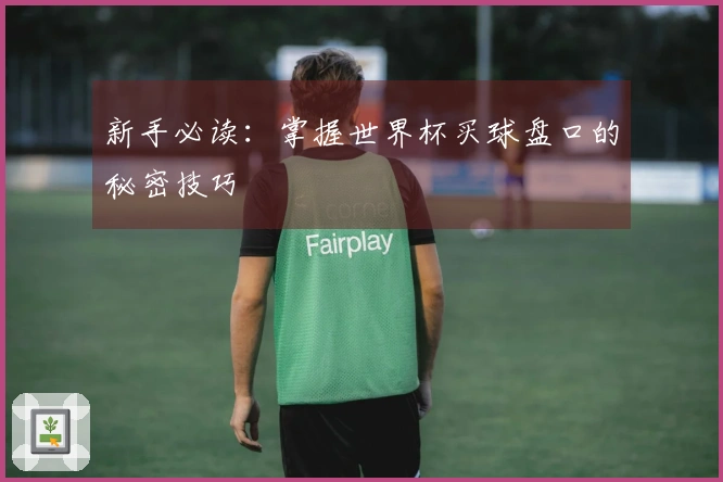 新手必读：掌握世界杯买球盘口的秘密技巧