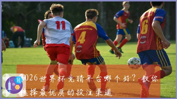 2026世界杯竞猜平台哪个好?教你选择最优质的投注渠道