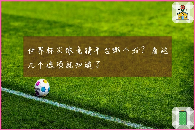 世界杯买球竞猜平台哪个好？看这几个选项就知道了