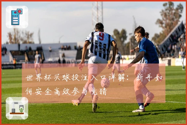 世界杯买球投注入口详解：新手如何安全高效参与竞猜