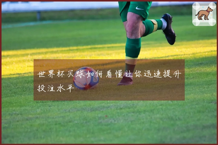 世界杯买球如何看懂让你迅速提升投注水平
