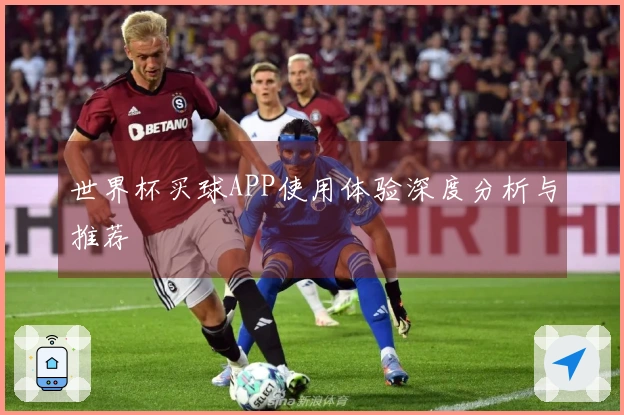 世界杯买球APP使用体验深度分析与推荐